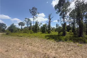 540 Aspen Ave S, Lehigh Acres, FL 33974 - Photo 1
