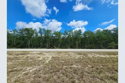 443 Greenbriar Blvd, Lehigh Acres, FL 33972 - Photo 4