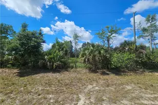 443 Greenbriar Blvd, Lehigh Acres, FL 33972 - Photo 1