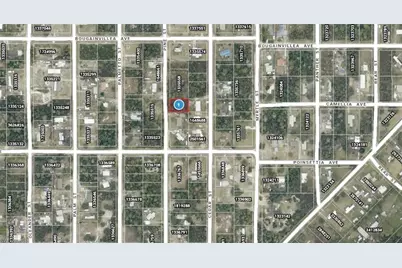 14-17-28-0200-009-01400 Pine St, Paisley, FL 32767 - Photo 2