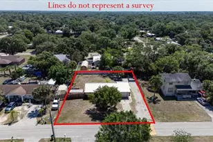 575 Sabal Palm Ct, Labelle, FL 33935 - Photo 48