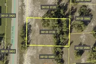 4523 NW 37th Ave, Cape Coral, FL 33993 - Photo 1