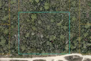 81-18-01-13-0190 South Ave, Deltona, FL 32725 - Photo 1