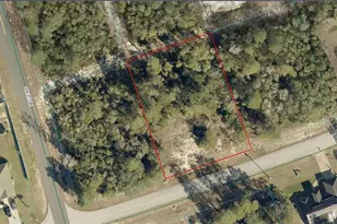 8004-0531-09 SW 175 Loop, Ocala, FL 34473 - Photo 1