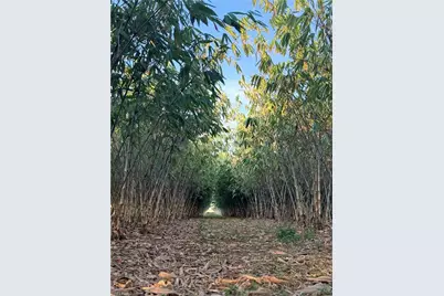 6724 5th Rd, Labelle, FL 33935 - Photo 2