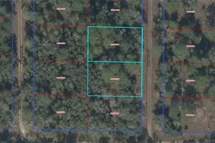 Lot 1 & 2 NE 148th Ct, Williston, FL 32696 - Photo 1