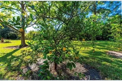 25271 Roland Ln, Punta Gorda, FL 33955 - Photo 2