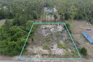 1007 Edison Ave, Lehigh Acres, FL 33972 - Photo 1