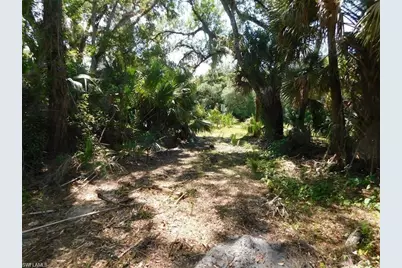 14971 Duke Hwy, Alva, FL 33920 - Photo 6