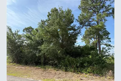 2607 26th St SW, Lehigh Acres, FL 33976 - Photo 4