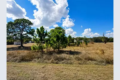 2184 Lincoln Park Ave, Alva, FL 33920 - Photo 2