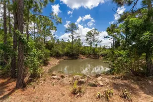 32706 Oil Well Rd, Punta Gorda, FL 33955 - Photo 30