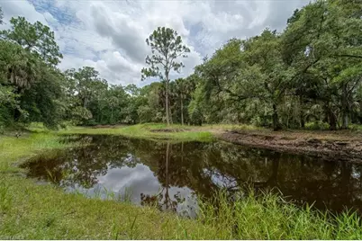 1205 Cr-830, Felda, FL 33930 - Photo 44