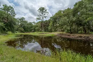 1205 Cr-830, Felda, FL 33930 - Photo 44