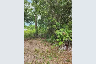 1114 McKinley Ave, Lehigh Acres, FL 33972 - Photo 1