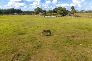 3501 Everhigh Acres Rd, Clewiston, FL 33440 - Photo 50