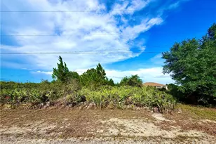 6002 Gene Ave N, Lehigh Acres, FL 33971 - Photo 1
