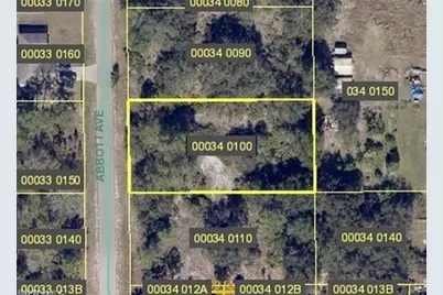 1004 Abbott Ave, Lehigh Acres, FL 33972 - Photo 1