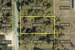 1410 Wellington Ave, Lehigh Acres, FL 33972 - Photo 1