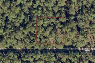 2003-147-026 SW 30th Ln, Ocala, FL 34481 - Photo 1