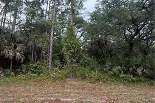 1659 Lake Ave, Lehigh Acres, FL 33972 - Photo 1
