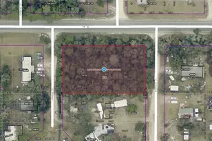 28108 Country Road 42, Paisley, FL 32767 - Photo 1