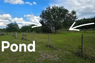 13312 Tangelo Ave, Clewiston, FL 33440 - Photo 14