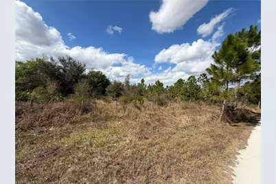 49337 Bermont Rd, Punta Gorda, FL 33982 - Photo 4