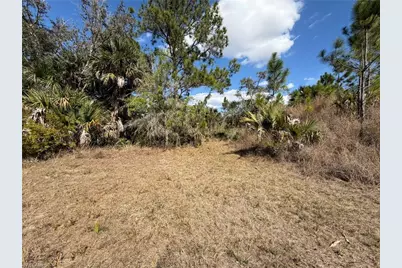 49337 Bermont Rd, Punta Gorda, FL 33982 - Photo 10