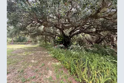 18251 Persimmon Ridge Rd, Alva, FL 33920 - Photo 1