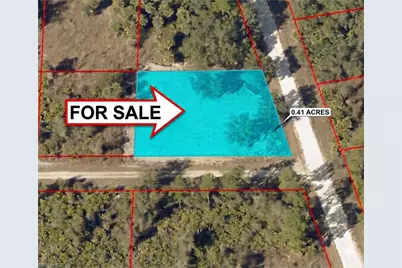 4239 E 29th St, Alva, FL 33920 - Photo 2