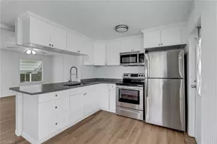 243 Tangerine Dr, Fort Myers, FL 33905 - Photo 10