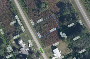 1025 Oriole St, Lake Placid, FL 33852 - Photo 1