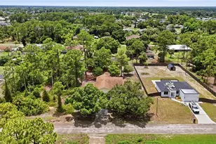 315 Roosevelt Ave, Lehigh Acres, FL 33936 - Photo 32