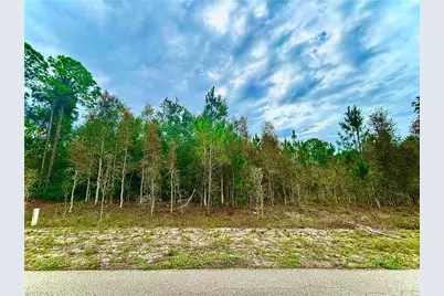 908 Robert Ave, Lehigh Acres, FL 33936 - Photo 1