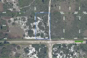 2310 W Yarbrough Rd, Avon Park, FL 33825 - Photo 1