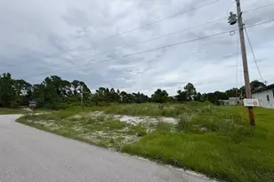 705 Randall Ave E, Lehigh Acres, FL 33974 - Photo 1
