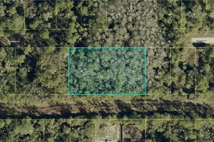 505 Woodman Dr, Lehigh Acres, FL 33972 - Photo 1