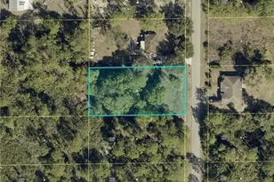 1411 State Ave, Lehigh Acres, FL 33972 - Photo 1