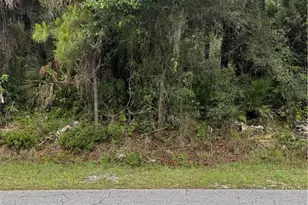 703 Cleveland Ave, Lehigh Acres, FL 33972 - Photo 1