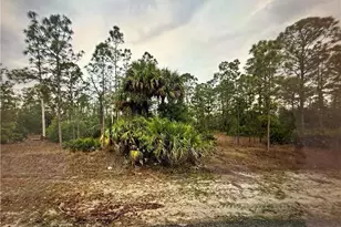1415 Sheldon Ave, Lehigh Acres, FL 33972 - Photo 1