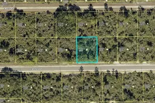 4199 E 28th St, Alva, FL 33920 - Photo 1