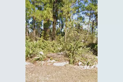 306 W 9th St, Lehigh Acres, FL 33972 - Photo 4