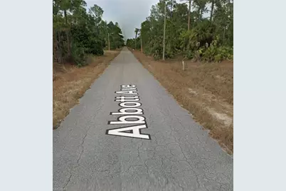 807 Abbott Ave, Lehigh Acres, FL 33972 - Photo 4