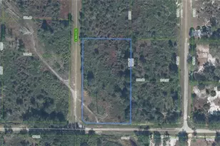 1463 S Snead Rd, Avon Park, FL 33825 - Photo 1