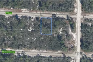 3442 Wren Ln, Lake Placid, FL 33852 - Photo 1