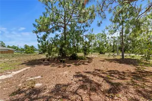 743 Fuller Ave S, Lehigh Acres, FL 33974 - Photo 40