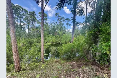207 Wilmington Pkwy, Cape Coral, FL 33993 - Photo 12