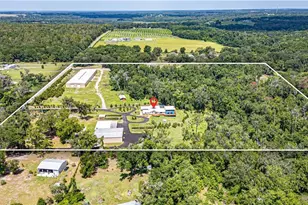 27255 Hickory Hill Rd, Brooksville, FL 34602 - Photo 46