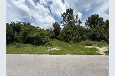 4609 Connie Ave S, Lehigh Acres, FL 33976 - Photo 2